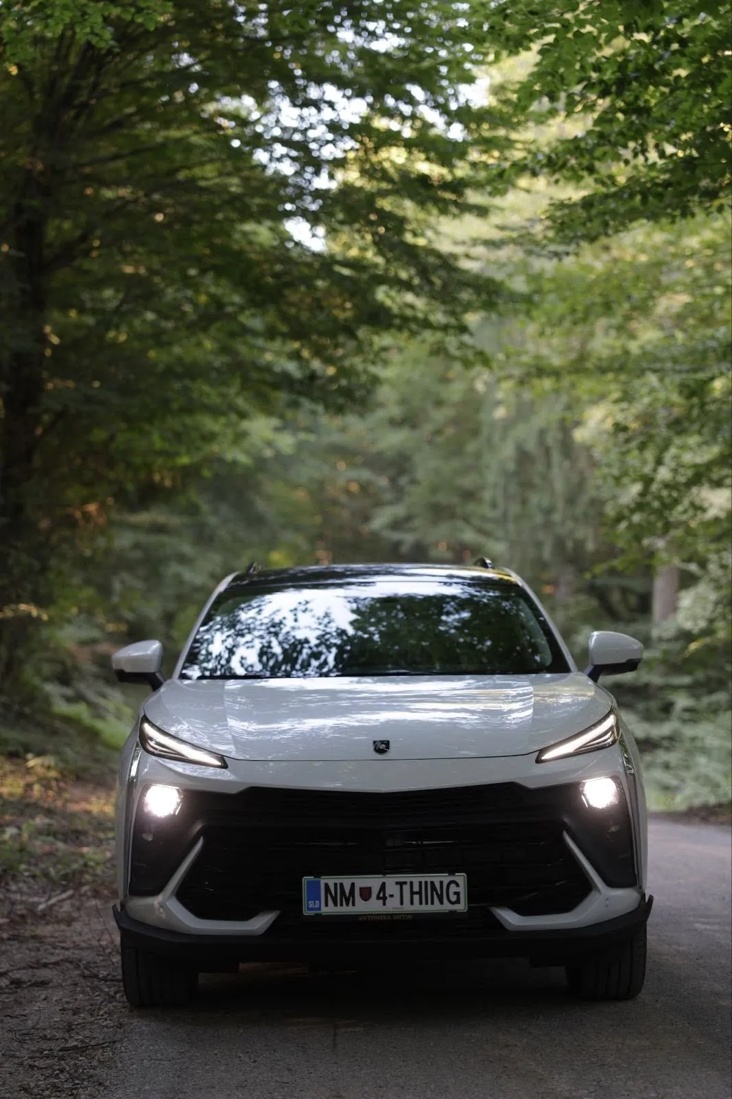 Forthing T5 EVO